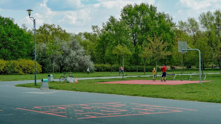 Île Verte Grenoble attire-t-elle vraiment les familles et les cadres ?